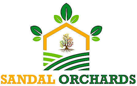 sandal orchards